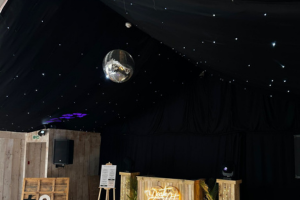 Disco Mirror Ball