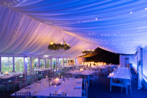 LED Venue Light Strips