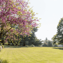 outdoors-spring-07
